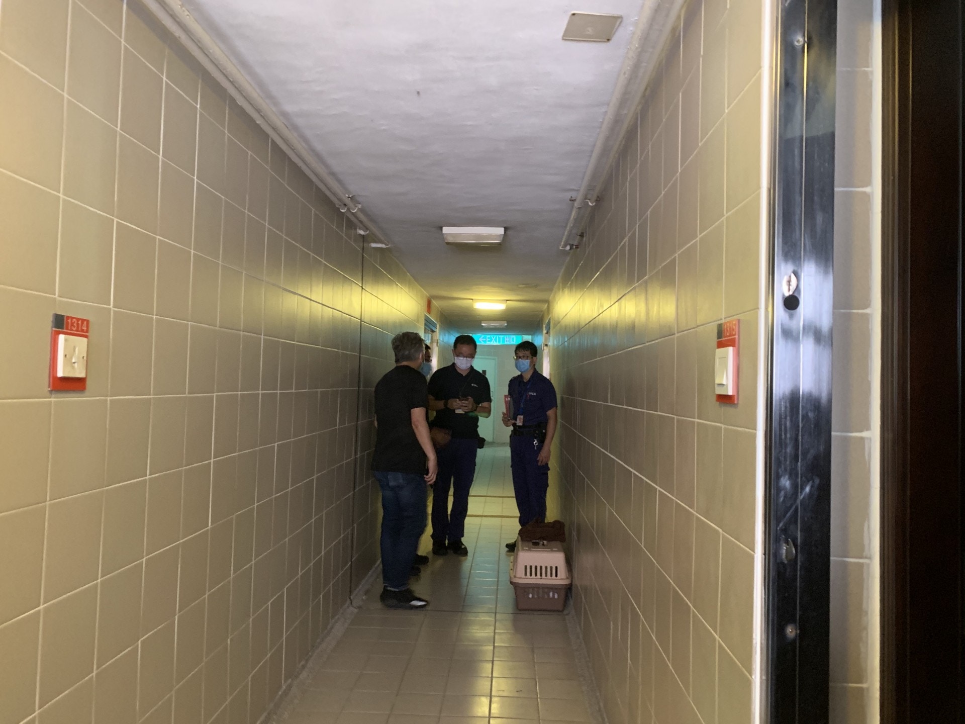 愛護動物協會人員亦到場。(鄧詠中攝) 愛護動物協會人員亦到場。(鄧詠中攝)