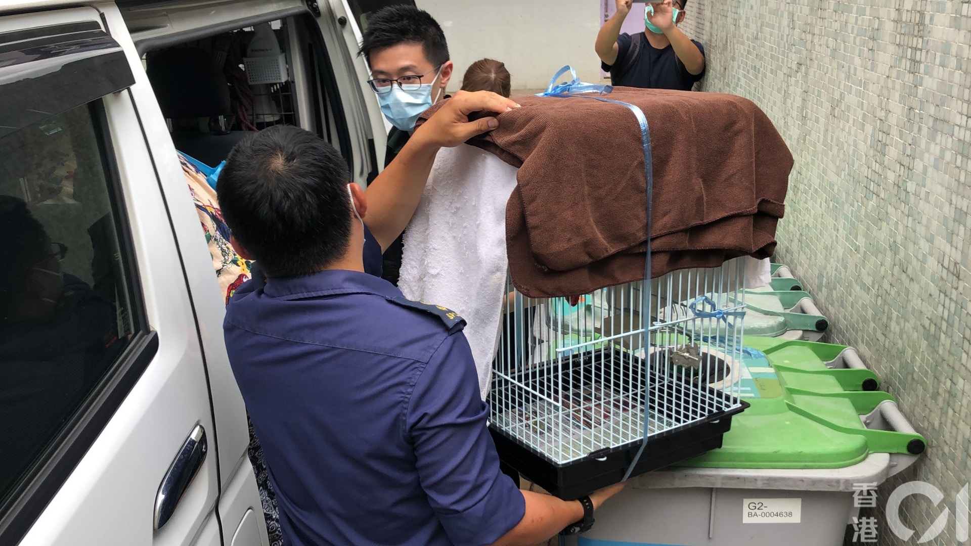 愛協帶走鸚鵡。(鄧詠中攝) 愛協帶走鸚鵡。(鄧詠中攝)