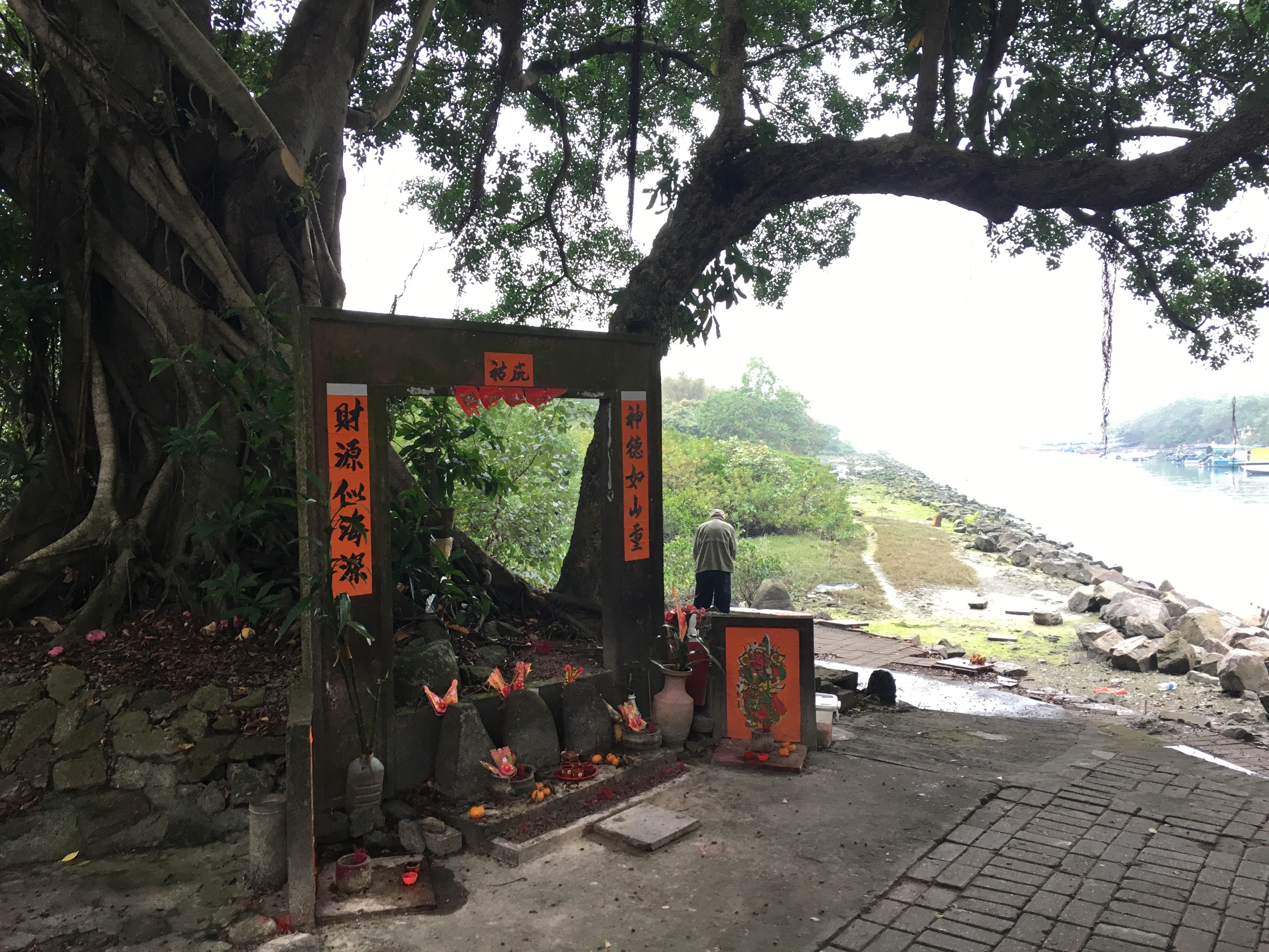 中國人習慣將家中神像「請走」時，把神像放在老榕樹下。東涌沙咀村附近的民間廟地，亦因此而出現。（吳韻菁攝）