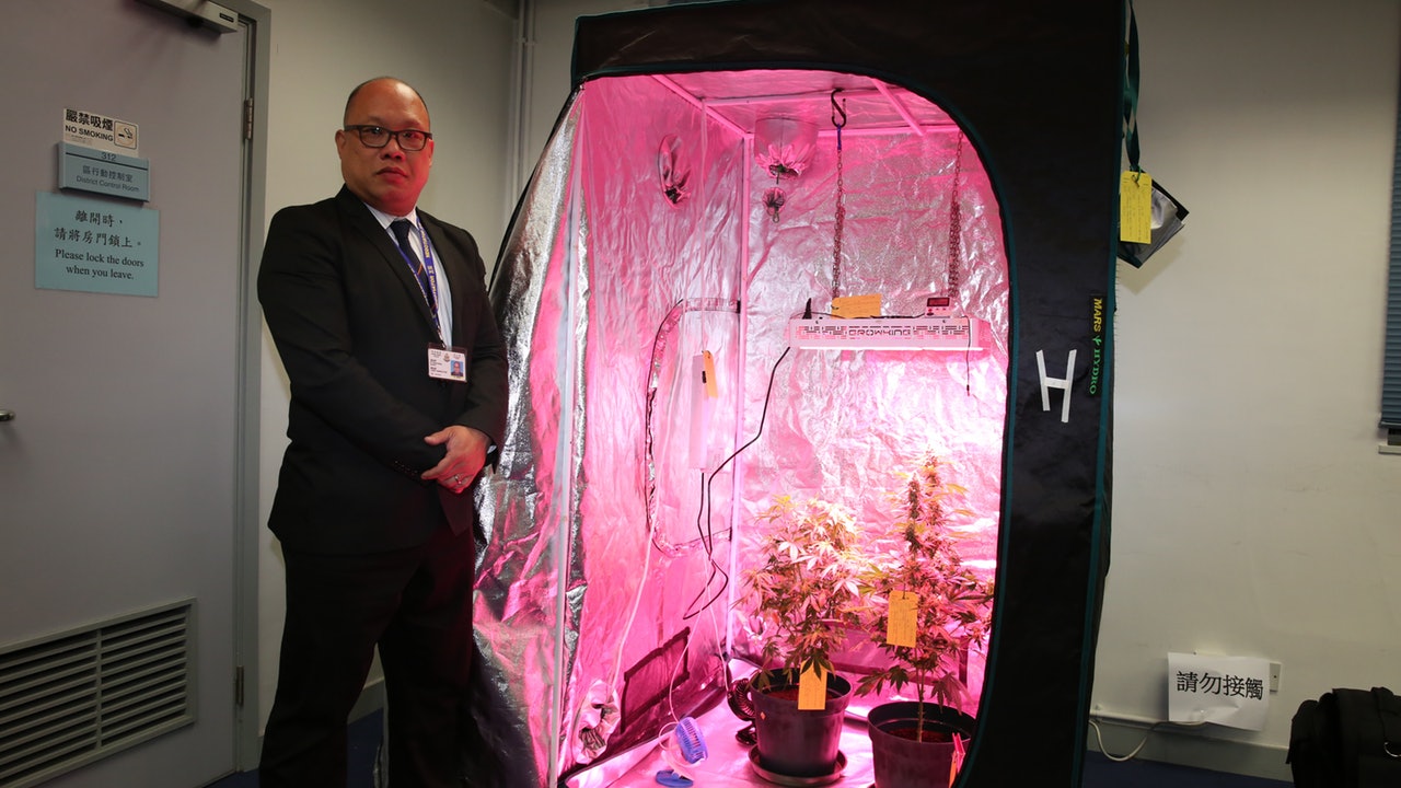 【愉景灣種大麻】疑睇書學種植 自製流動大麻屋 三外籍人士被捕 【愉景灣種大麻】疑睇書學種植 自製流動大麻屋 三外籍人士被捕