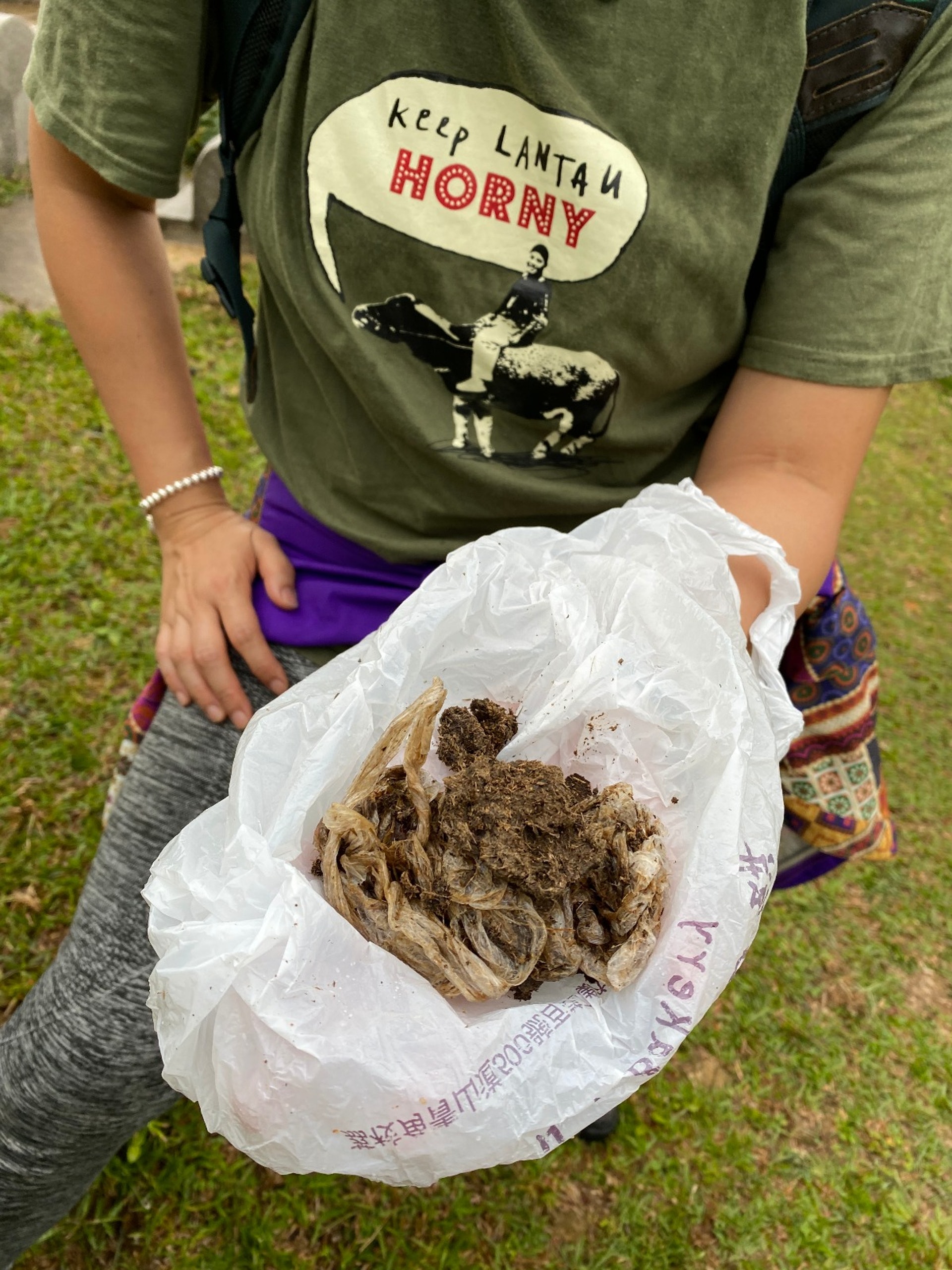 四月底牛義工在黃牛棲息地發現一堆纏有膠袋的牛糞。(大嶼山愛護水牛協會提供) 四月底牛義工在黃牛棲息地發現一堆纏有膠袋的牛糞。(大嶼山愛護水牛協會提供)