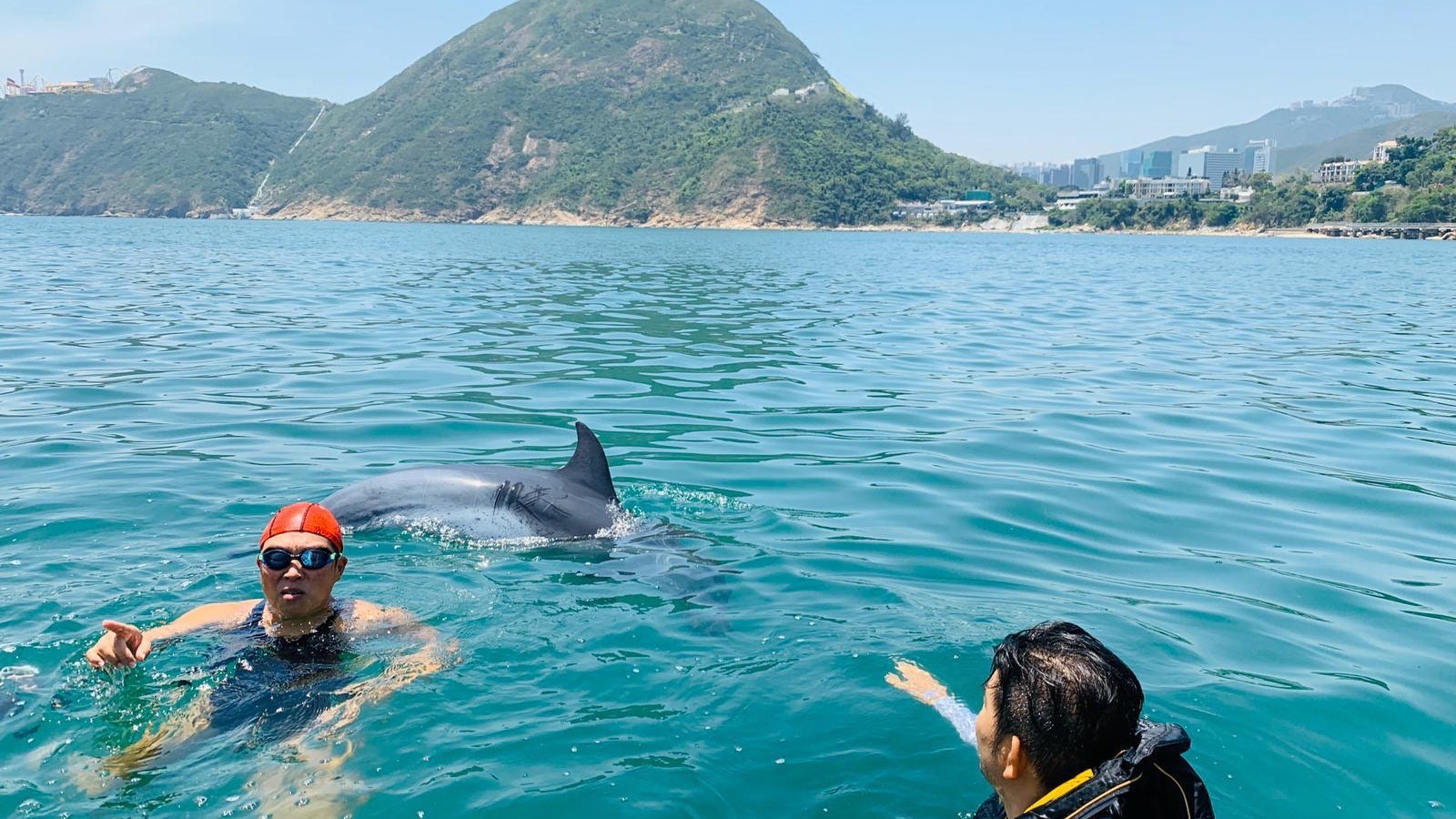 深水灣海豚Dave與同伴不畏人類 海洋公園保育基金籲:保持距離 深水灣海豚Dave與同伴不畏人類 海洋公園保育基金籲:保持距離