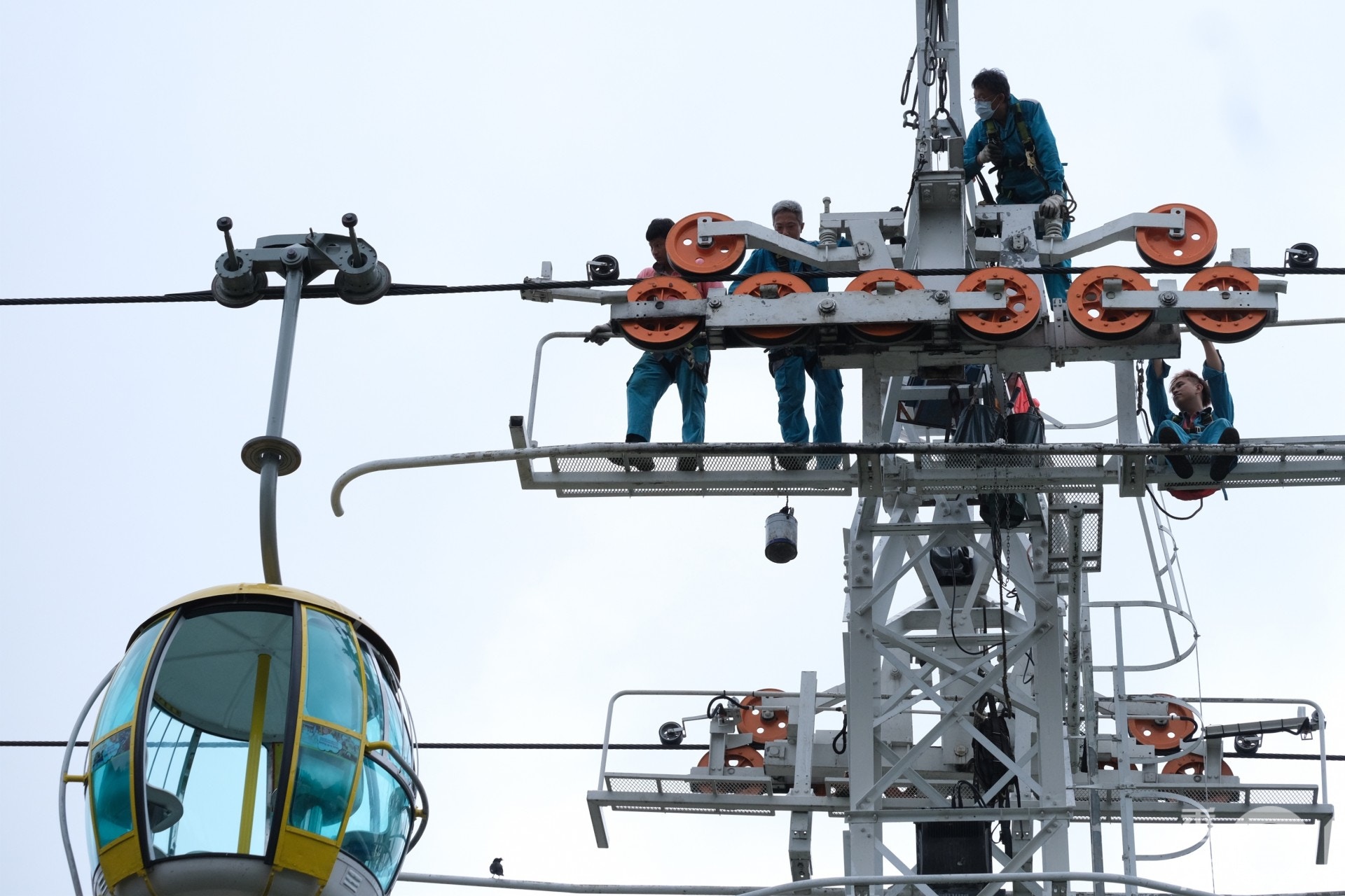 劉鳴煒說,若海洋公園清盤,員工及公園動物一定大受影響。(盧翊銘攝) 劉鳴煒說,若海洋公園清盤,員工及公園動物一定大受影響。(盧翊銘攝)