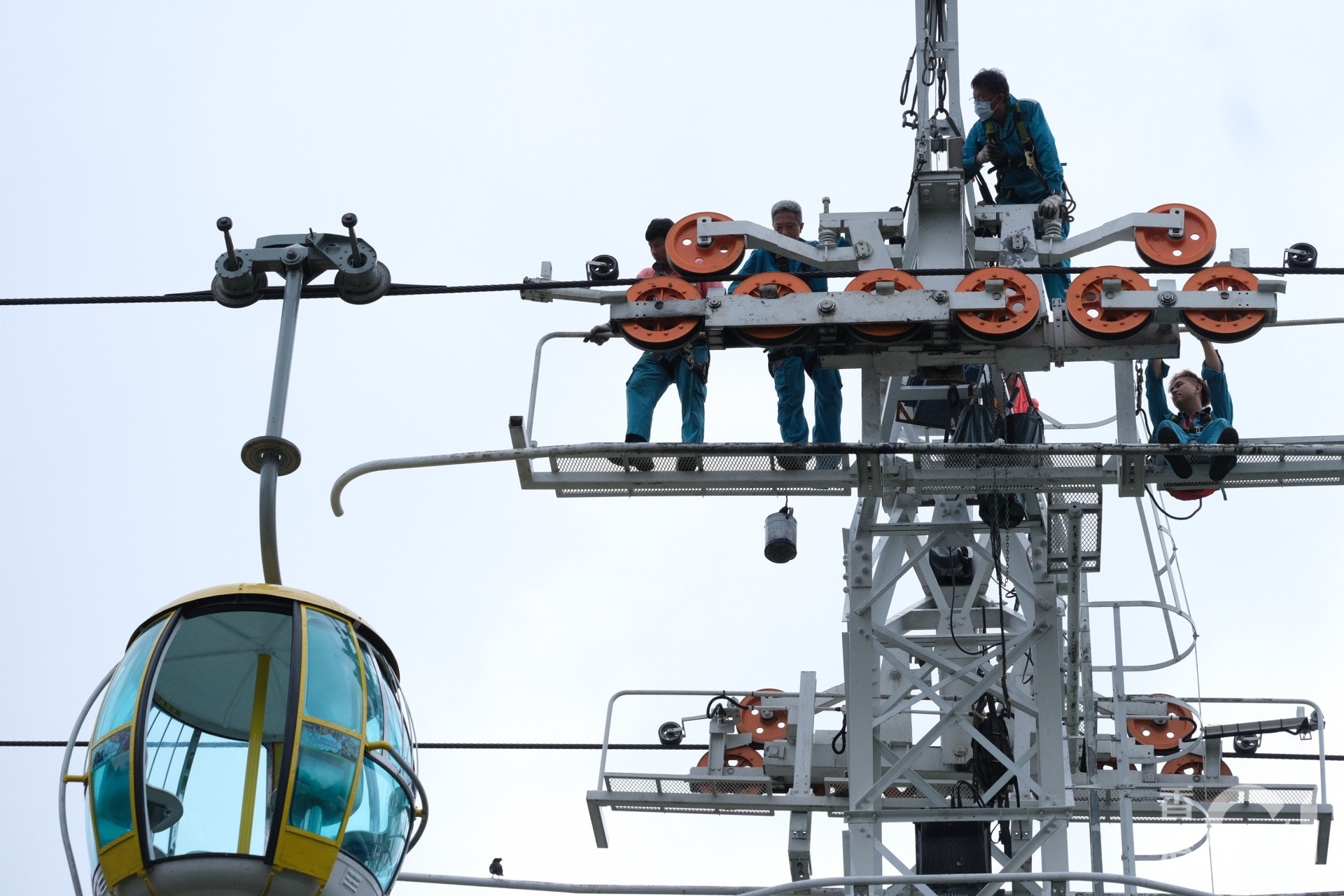 海洋公園因財困向立法會申請撥款54億元救亡。(盧翊銘攝) 海洋公園因財困向立法會申請撥款54億元救亡。(盧翊銘攝)
