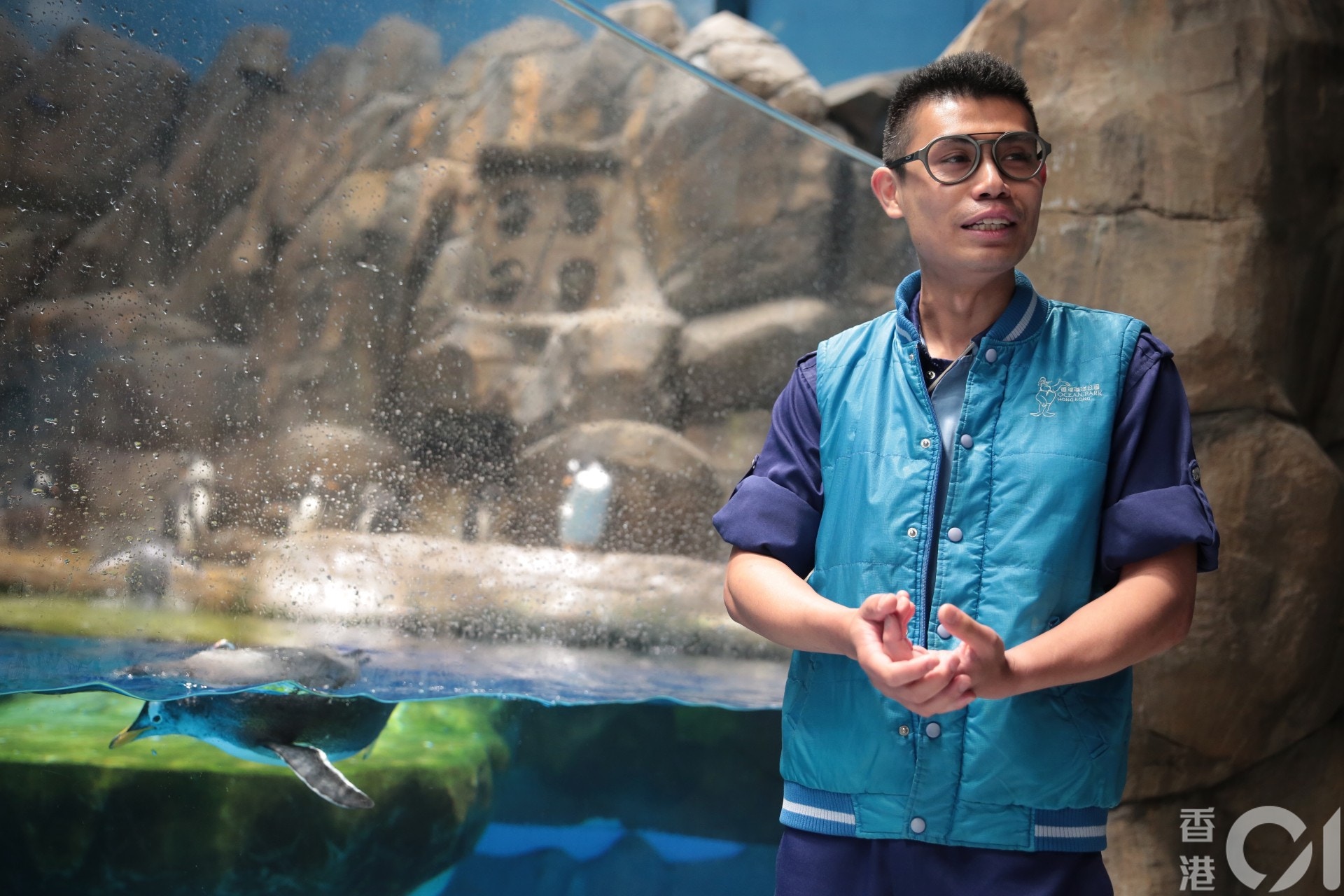 海洋公園高級海洋哺乳動物監督周焯邦在2008年開始，一直負責照顧園內企鵝，說到現時情況顯得非常不捨。（李澤彤攝）