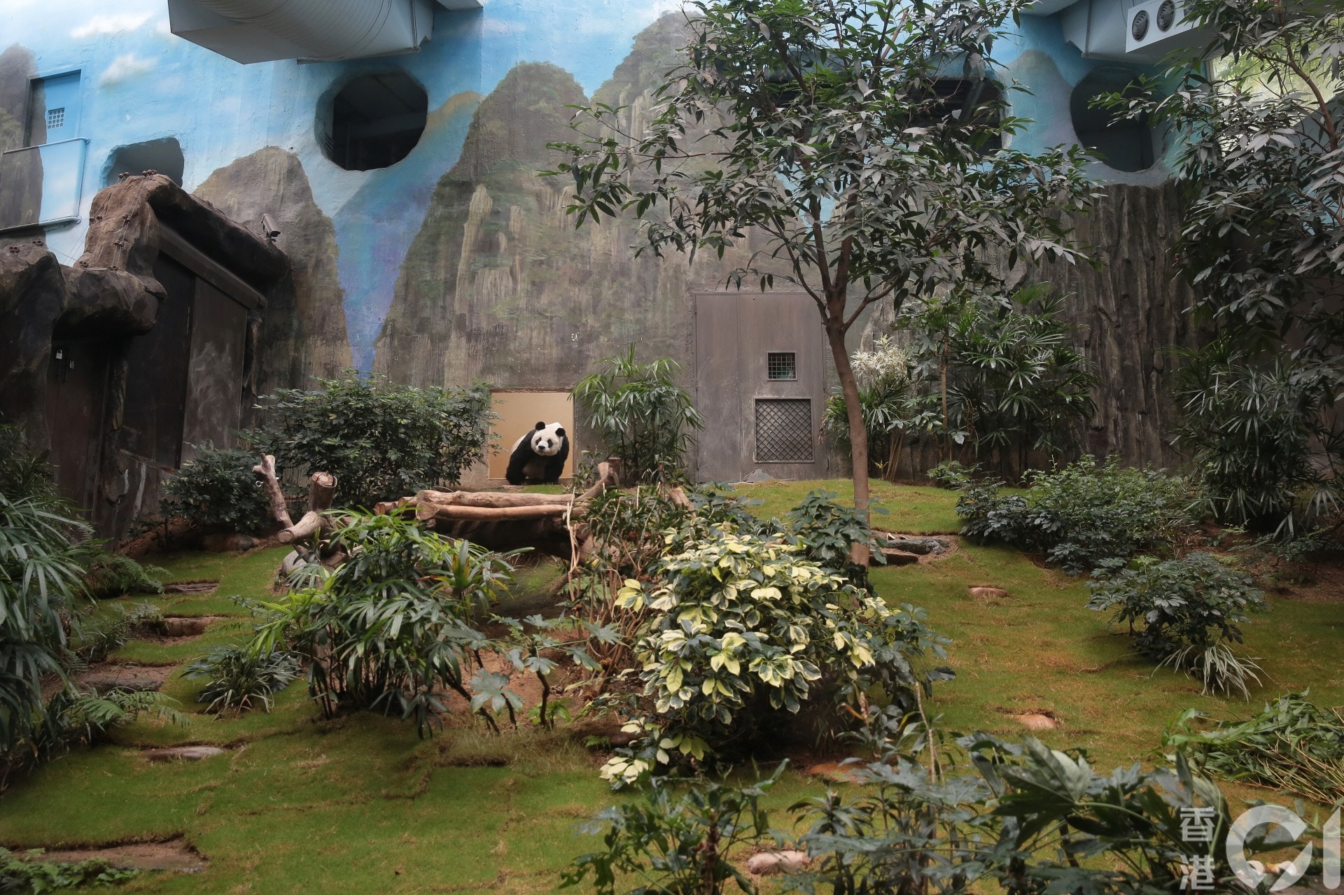 海洋公園現時有達7500隻海、陸動物，一旦園方關閉，牠們的去向未明。（李澤彤攝）