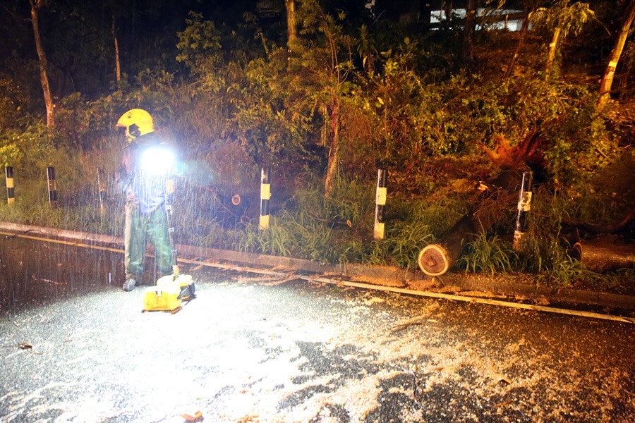 消防到場鋸樹。(陳永武攝)