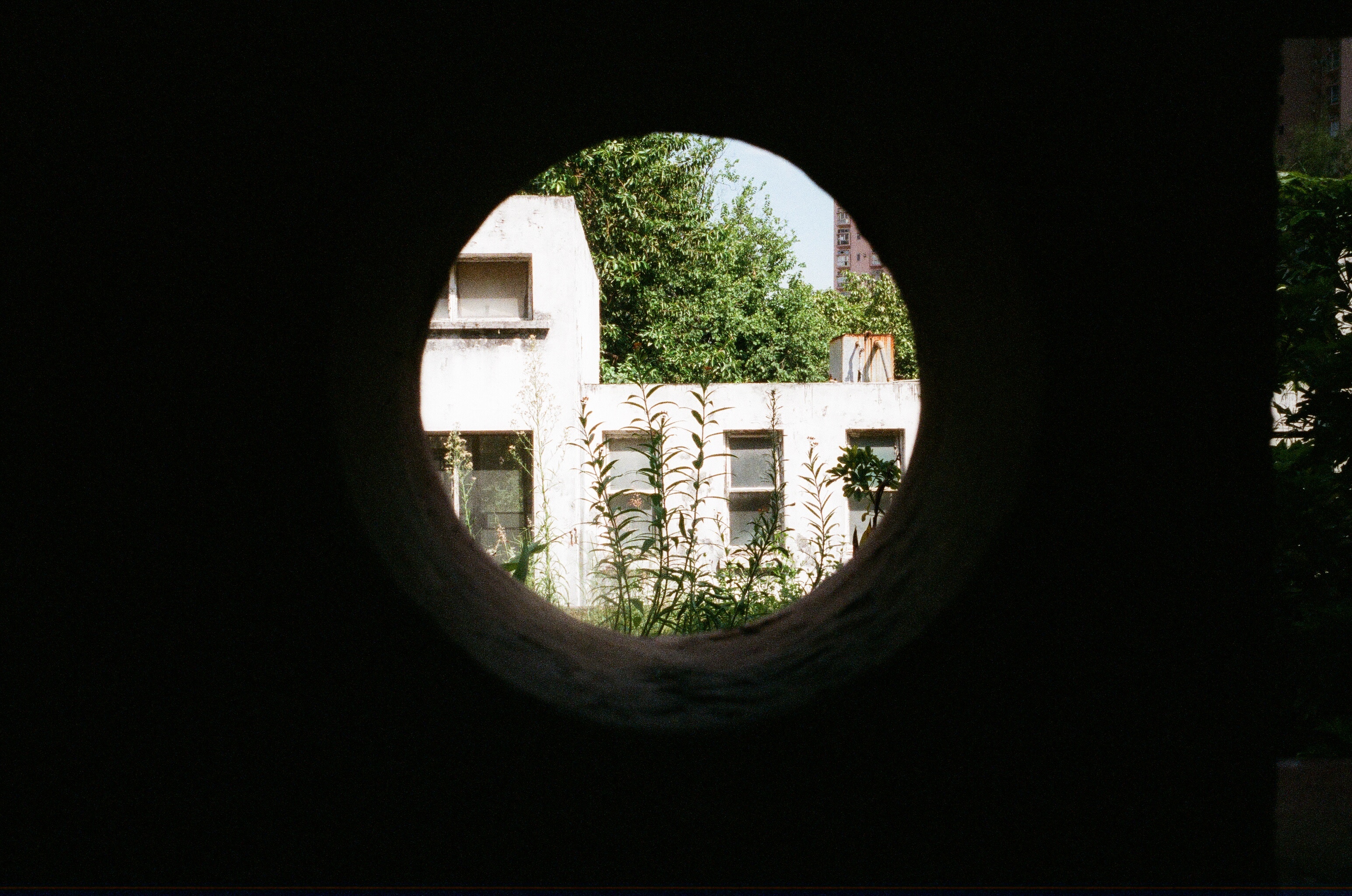 【Private Eye】 Lam︰人的故事，從土地說起