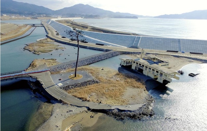 311地震六周年 奇蹟之松 見證重建搜索隊繼續尋找失蹤者 香港01 即時國際