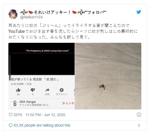 網民「@Akikun1124」在Twitter表示，近日耳邊不斷有蚊子飛來飛去嗡嗡作響，非常討厭，於是上網尋求解決辦法。（Twitter圖片）