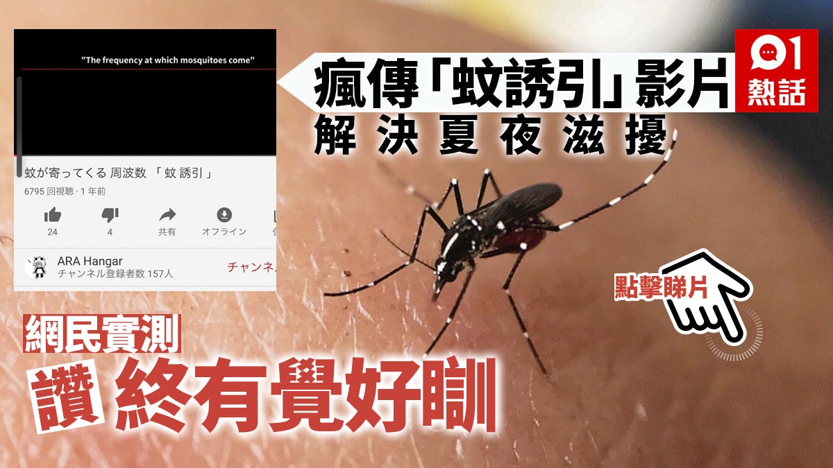 耳邊嗡嗡叫好煩！ 網民實測「滅蚊大法」讚有用專家指出一盲點