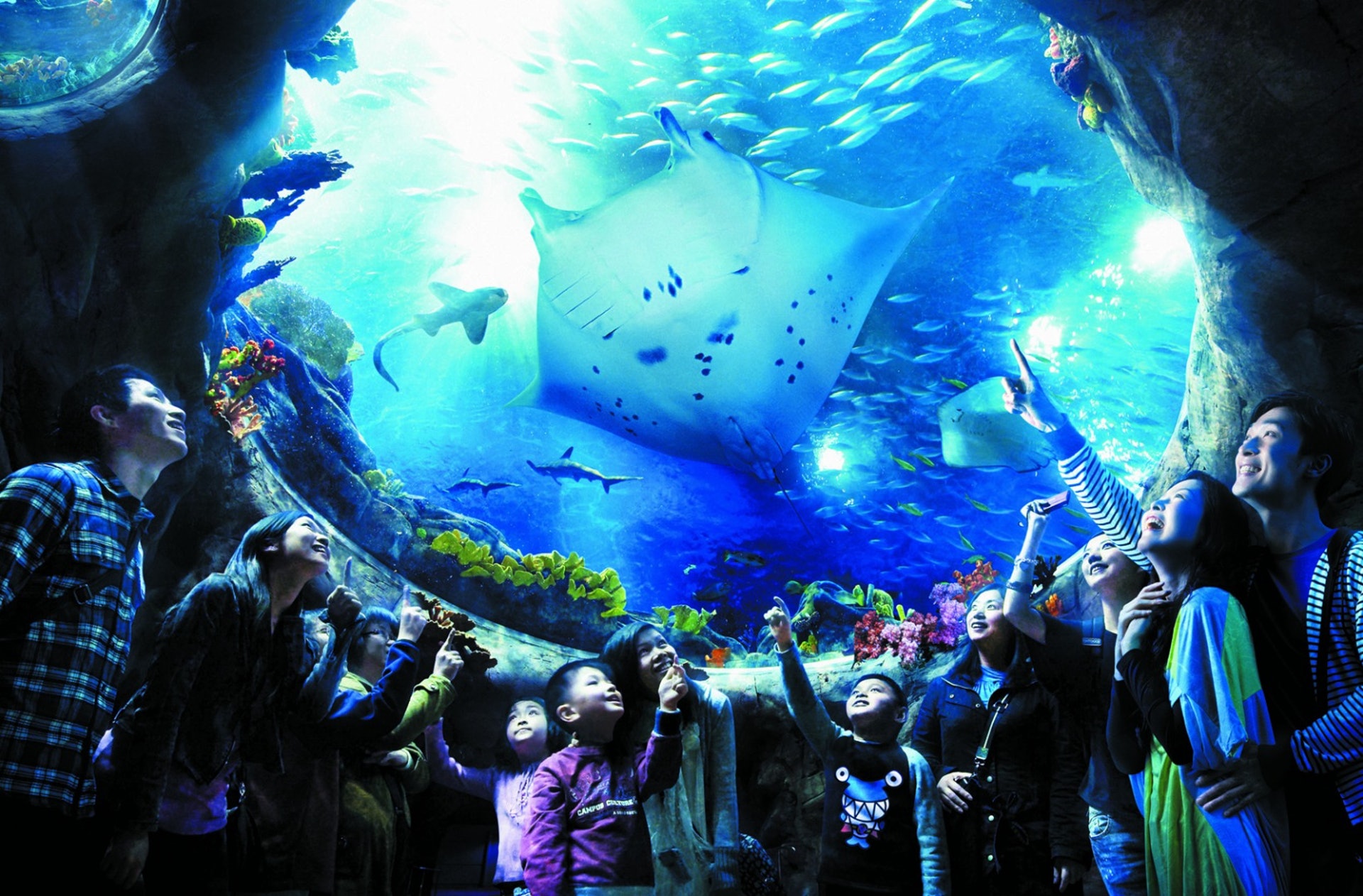 海洋公園2016/17年度有812條魚死亡。(海洋公園提供) 海洋公園2016/17年度有812條魚死亡。(海洋公園提供)