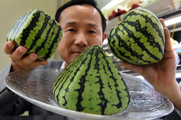 廿萬買蜜瓜仲貴過名牌手袋日本奢侈水果文化是怎樣煉成的？