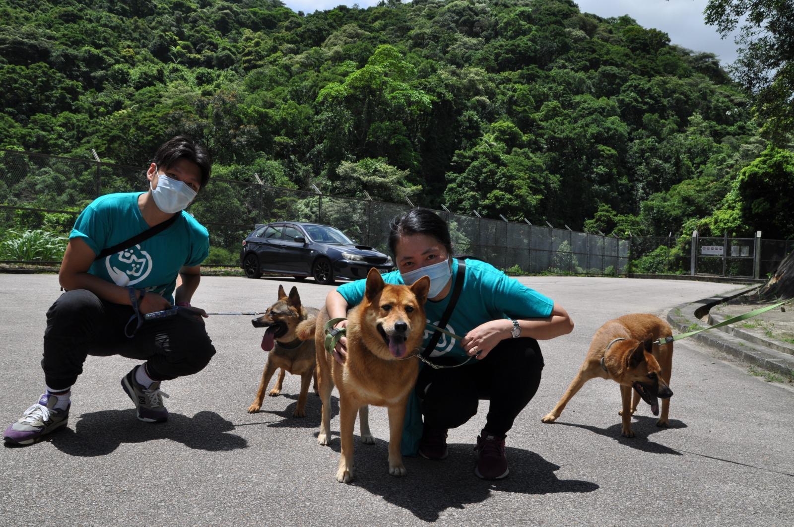 東九龍總區警義工西貢照顧流浪狗宣揚愛護動物訊息 香港01 社會新聞