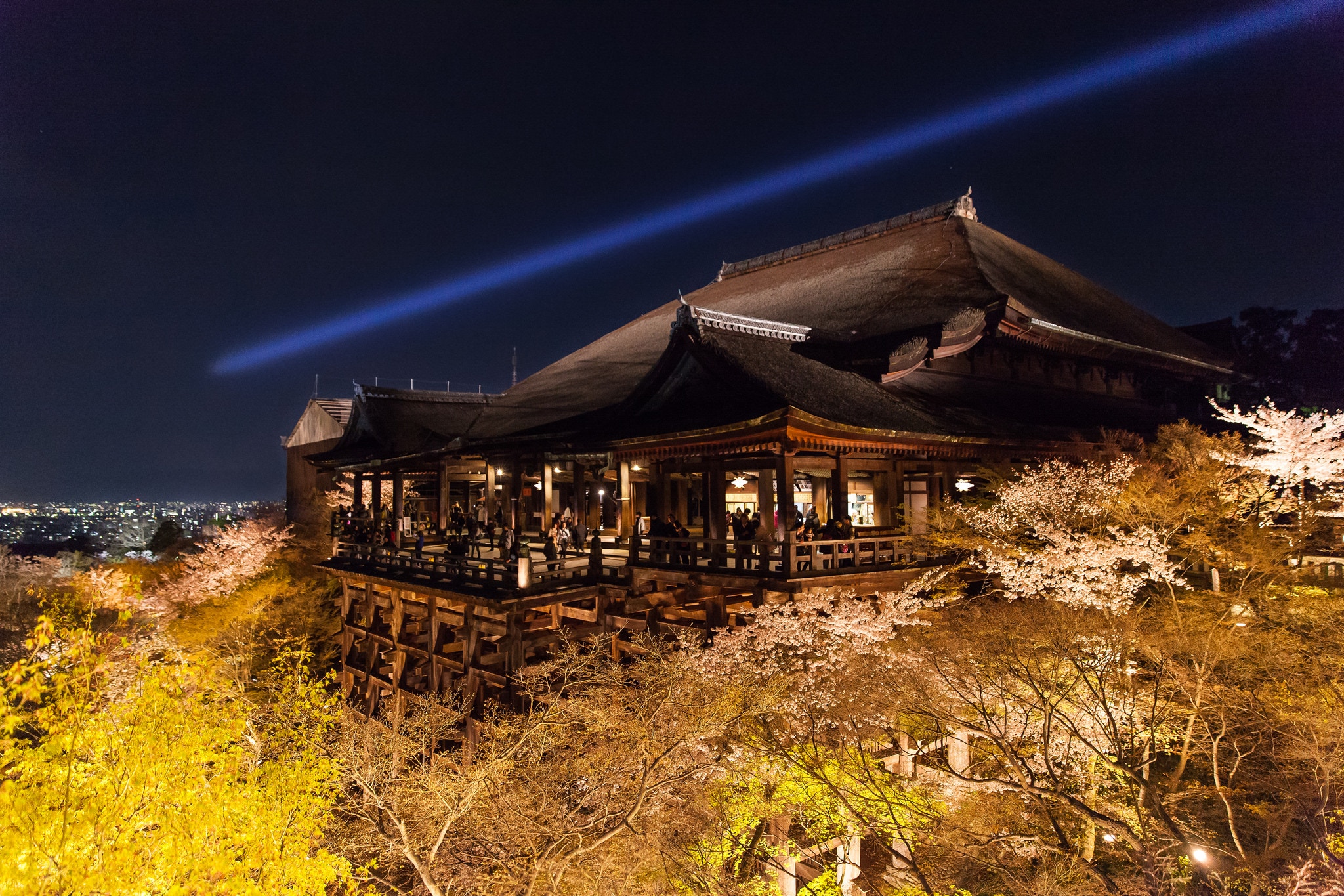櫻花情報 清水寺棚架中觀夜櫻熊本城局部開放瓦礫中慶花祭 櫻花情報 清水寺棚架中觀夜櫻熊本城局部開放瓦礫中慶花祭