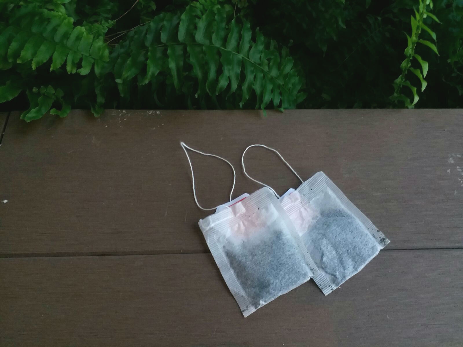 一個茶包已可取代洗潔精的用途。（曾柏熊攝）