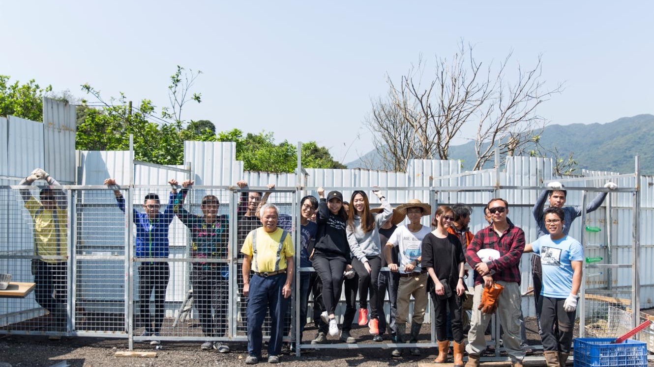 【鐵漢柔情】流浪狗場逼遷 地盤友義工隊助70小狗建新屋 【鐵漢柔情】流浪狗場逼遷 地盤友義工隊助70小狗建新屋