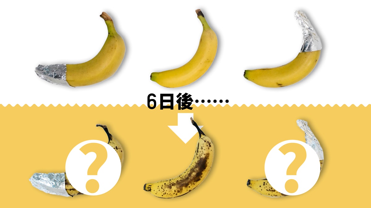 【教煮實驗室‧延緩蕉黑】包頭包尾防斑點?皮黑酒味濃仲食得? 【教煮實驗室‧延緩蕉黑】包頭包尾防斑點?皮黑酒味濃仲食得?