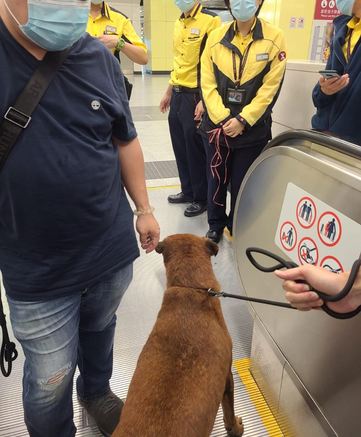 多名港鐵職員用帆布把狗狗圍困在停止運作的電梯上。(毛孩守護者提供圖片) 多名港鐵職員用帆布把狗狗圍困在停止運作的電梯上。(毛孩守護者提供圖片)