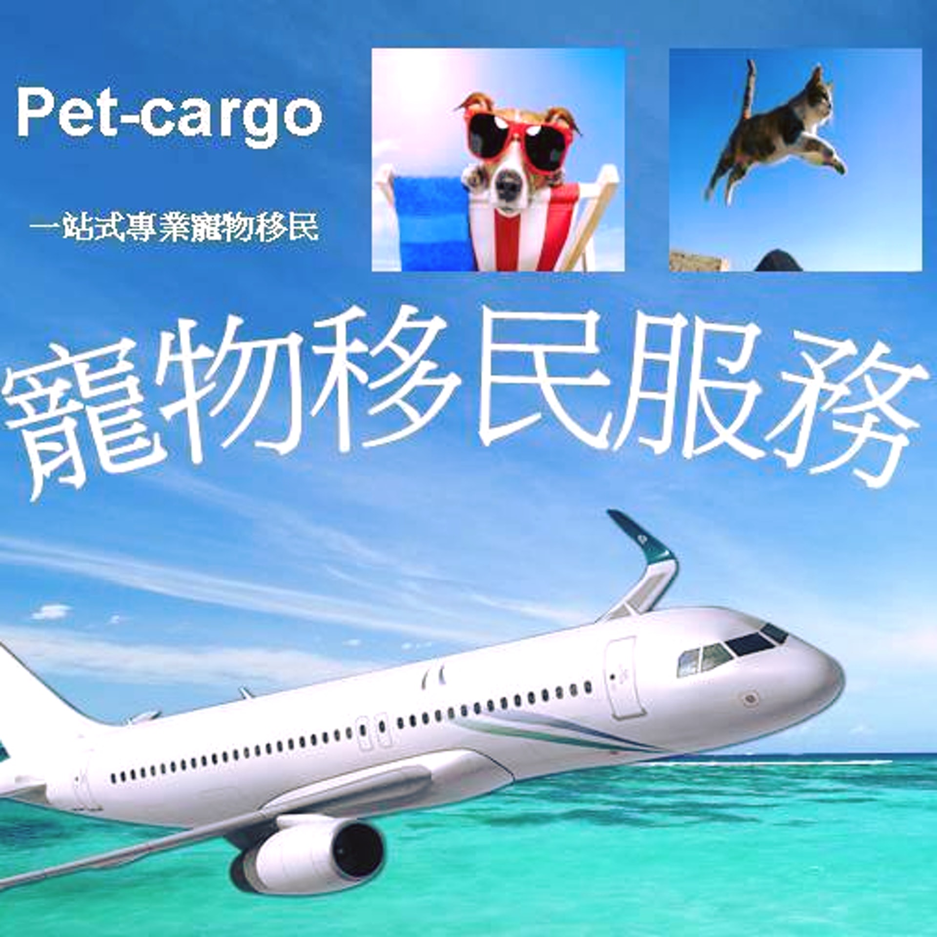 該酒店至2018年12月曾經營「Pet-Cargo」的寵物移民服務。(網上圖片) 該酒店至2018年12月曾經營「Pet-Cargo」的寵物移民服務。(網上圖片)