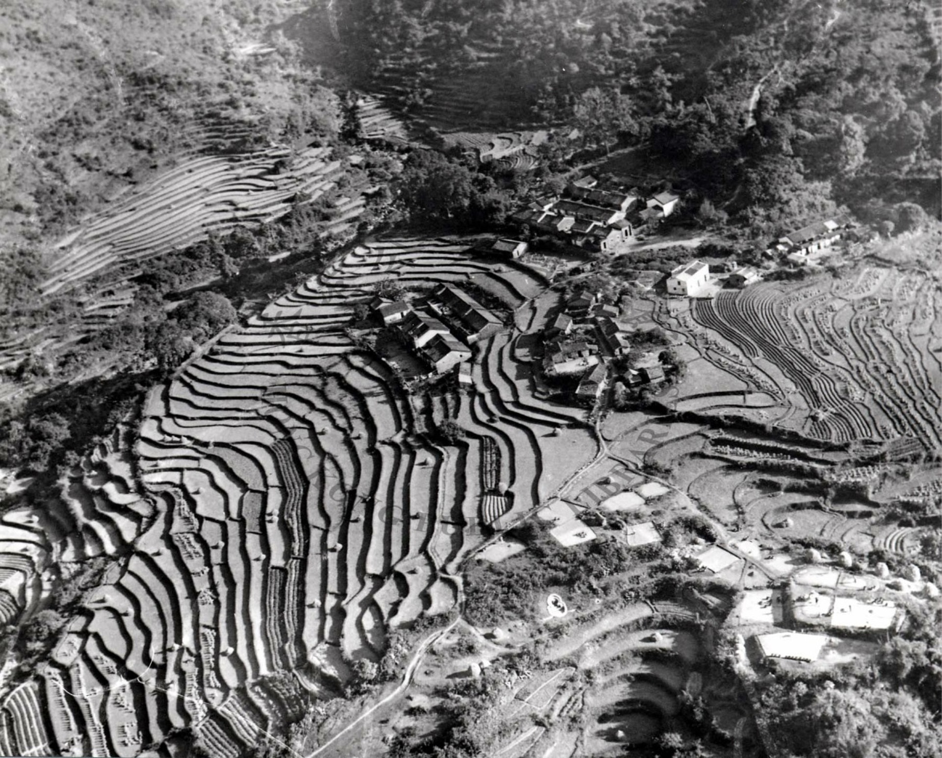 1960年的大埔,當年整座山都是梯田,更有人在山頂搭屋。(政府新聞處) 1960年的大埔,當年整座山都是梯田,更有人在山頂搭屋。(政府新聞處)