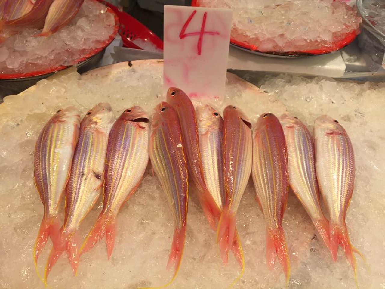 紅衫魚普遍售價為4元一両,圖中10條紅衫魚就要花近百元。(張雅婷攝) 紅衫魚普遍售價為4元一両,圖中10條紅衫魚就要花近百元。(張雅婷攝)