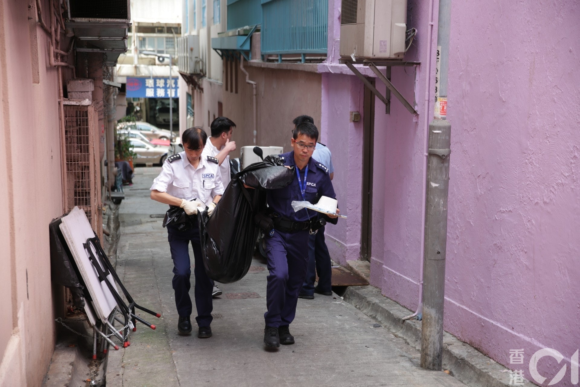 4月一名23歲男子涉大廈天台掟銀狐犬落街,大隻慘遭分屍,同被控一項殘酷對待動物罪被判4個月醫院令。(資料圖片) 4月一名23歲男子涉大廈天台掟銀狐犬落街,大隻慘遭分屍,同被控一項殘酷對待動物罪被判4個月醫院令。(資料圖片)