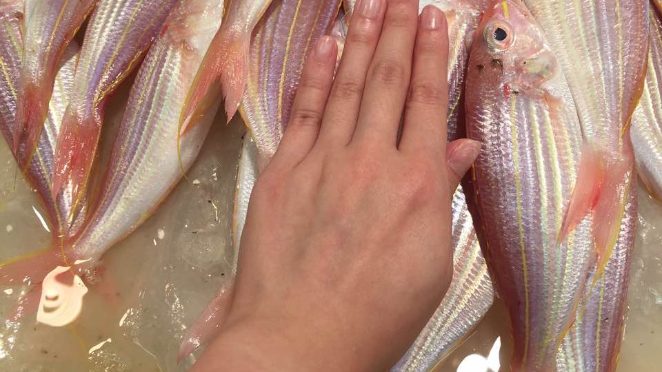 「易危」紅衫魚價十年翻兩倍 手掌般大16蚊條 市民嘆唔捨得食 「易危」紅衫魚價十年翻兩倍 手掌般大16蚊條 市民嘆唔捨得食