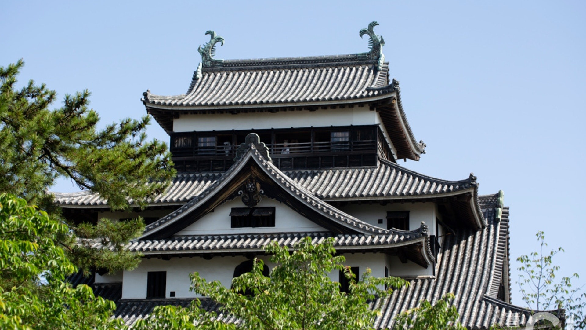 旅遊氣泡|與日泰商討仍難定通關日 名單無台灣 邱騰華:無前設 旅遊氣泡|與日泰商討仍難定通關日 名單無台灣 邱騰華:無前設