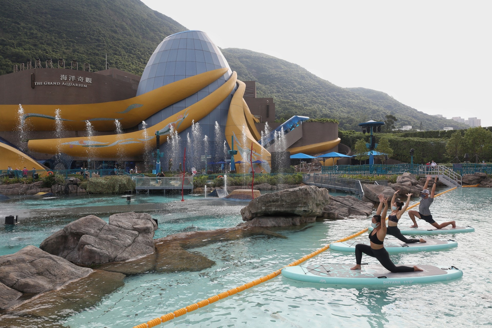 新冠肺炎 海洋公園取消現行無薪假期改為減薪5 至15 香港01 社會新聞