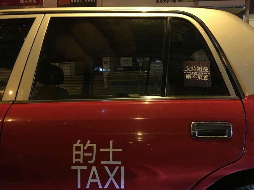 不少職業司機都響應，在車廂貼上「支持領養　絕不棄養」的標貼。（受訪者提供）