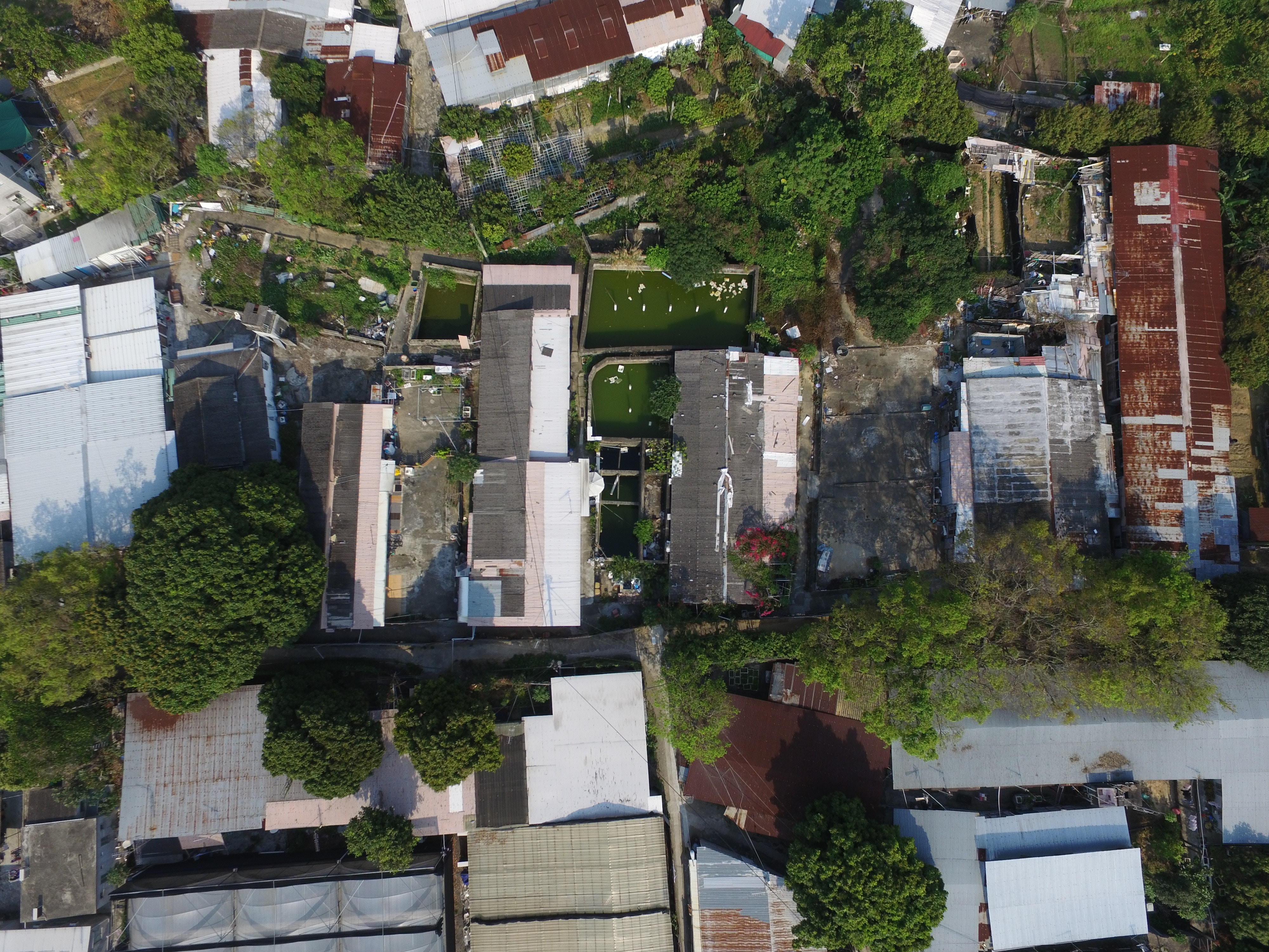 恒基持有地皮被政府充公後，現已變成政府土地。（蔡正邦攝）