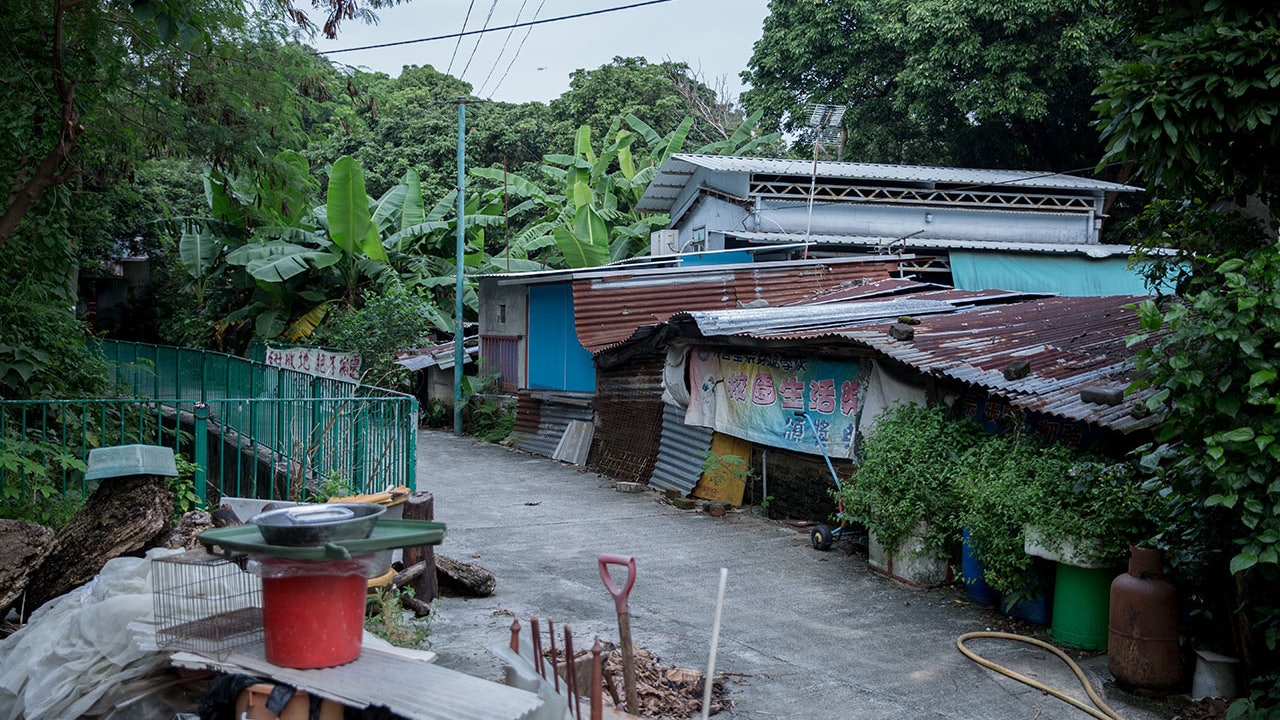 【審計報告】地政總署查寮屋違規甩漏多 最離譜面積多一倍無發現 【審計報告】地政總署查寮屋違規甩漏多 最離譜面積多一倍無發現
