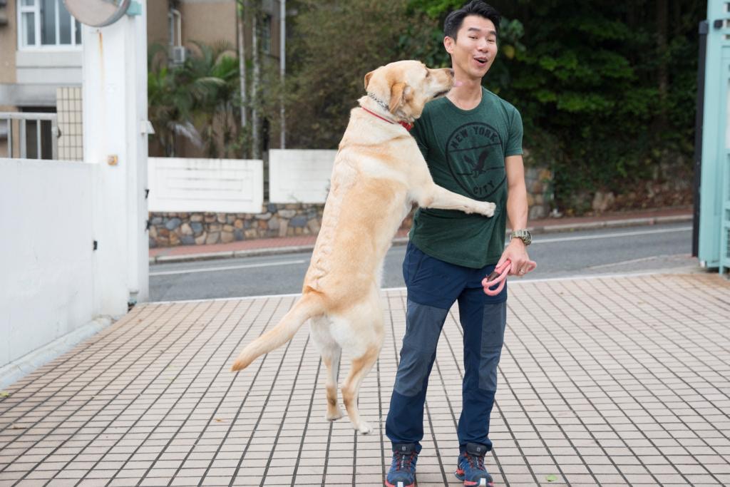 狗主必睇 有片 不用 No 訓練狗狗專業訓練師醒你馴狗貼士 香港01 寵物