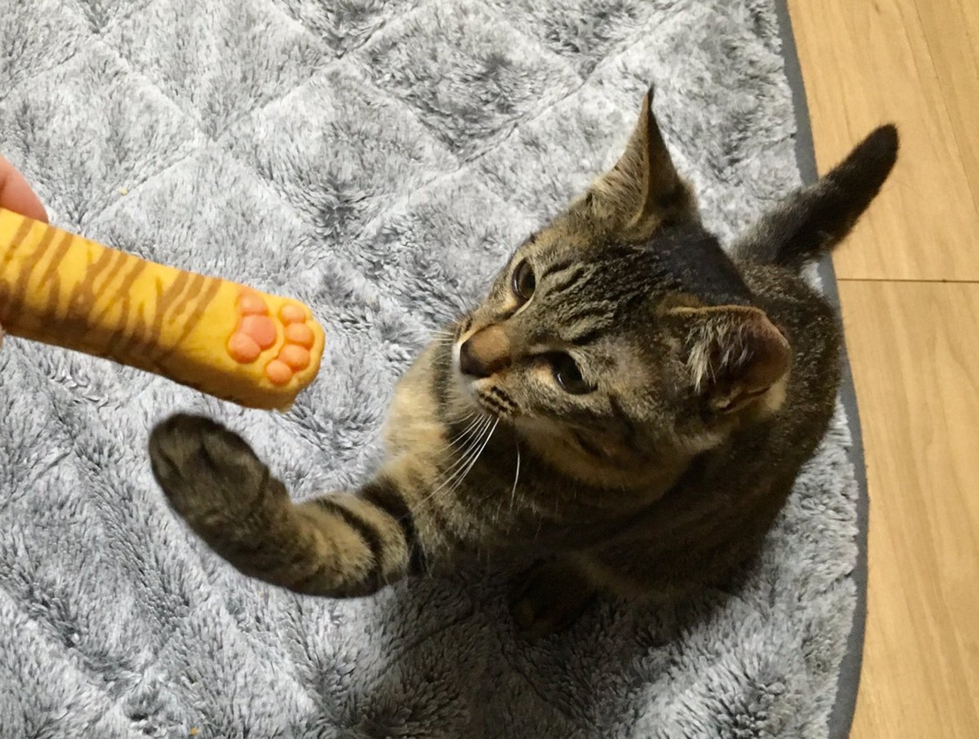 朋友~你隻手好香啊!(shizumeka/twitter) 朋友~你隻手好香啊!(shizumeka/twitter)