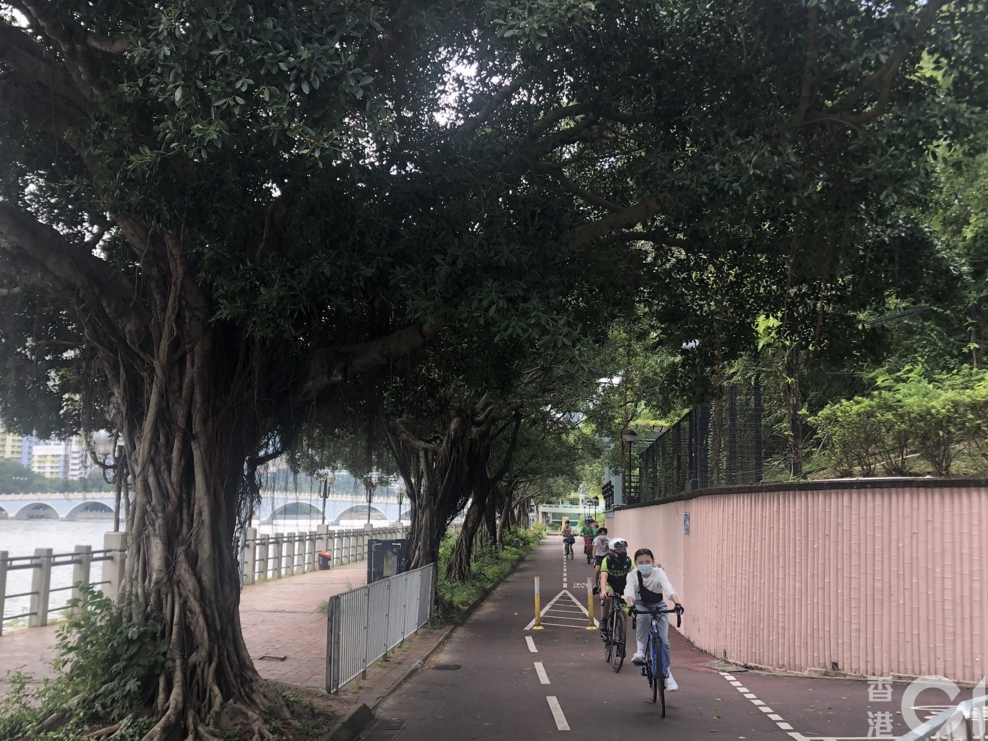 新冠肺炎 確診社工曾到沙田租單車中央公園單車店強調常消毒