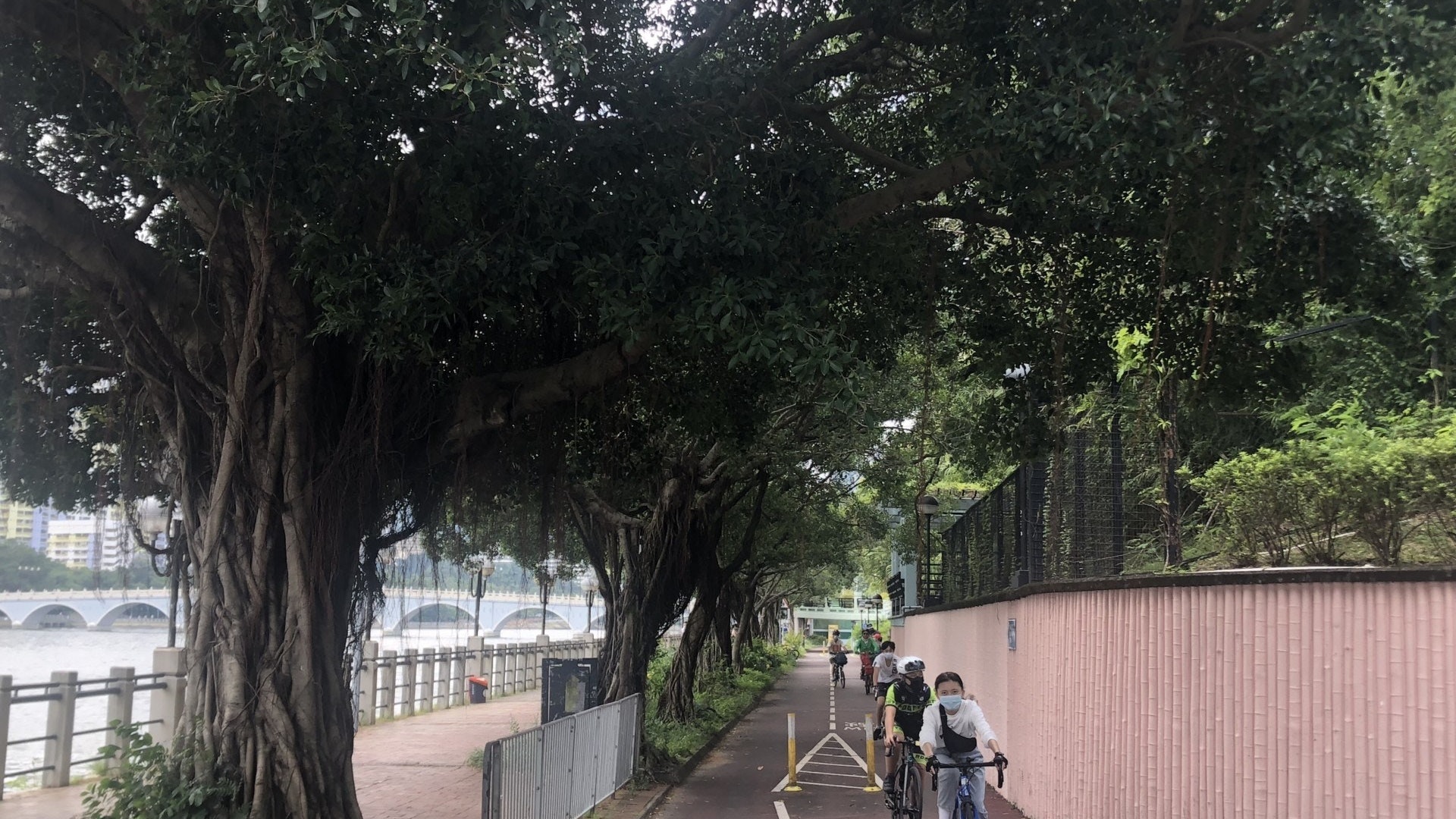 新冠肺炎 確診社工曾到沙田租單車中央公園單車店強調常消毒 新冠肺炎 確診社工曾到沙田租單車中央公園單車店強調常消毒