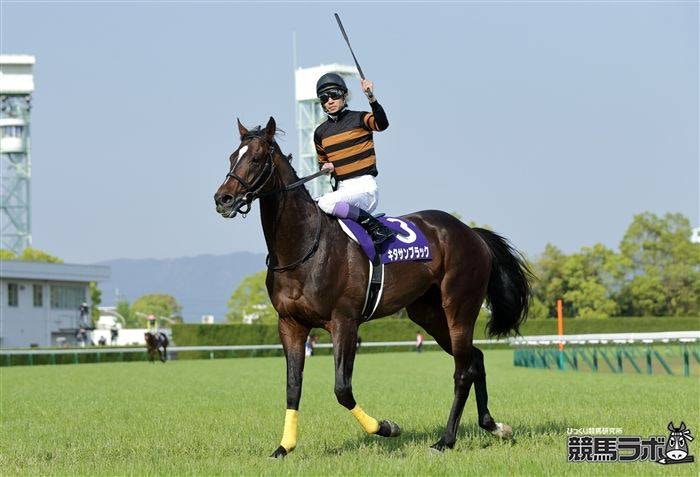 日本賽馬 京都直擊春季天皇賞不只是競技而是嘉年華 有片 香港01 即時體育