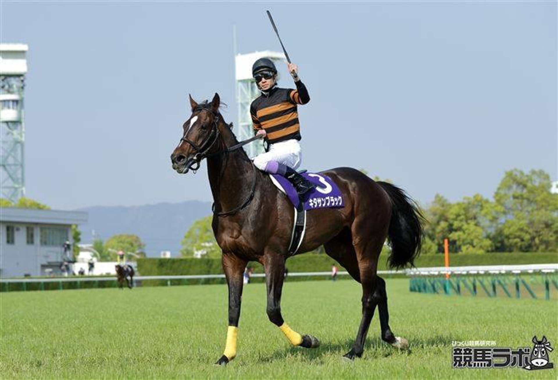 日本賽馬 京都直擊春季天皇賞不只是競技而是嘉年華 有片 香港01 即時體育 日本賽馬 京都直擊春季天皇賞不只是競技而是嘉年華 有片 香港01 即時體育