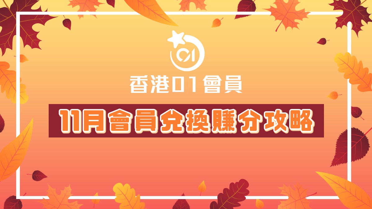 11月精選獎賞推介