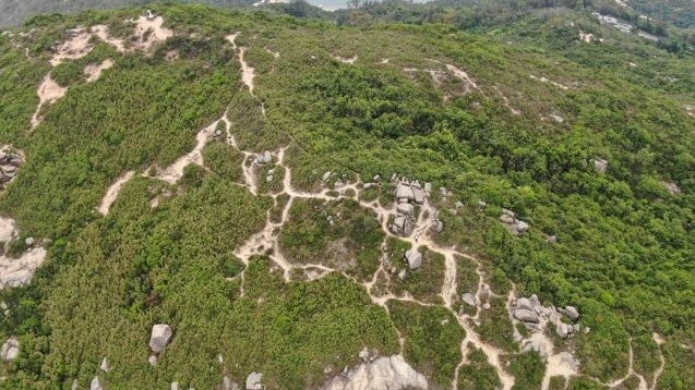 市民湧郊野避疫闢路「打卡」 龍脊變禿現蜘蛛網山路、植坡碎片化 市民湧郊野避疫闢路「打卡」 龍脊變禿現蜘蛛網山路、植坡碎片化