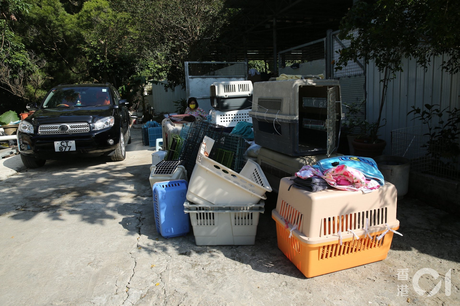 JoJo憶述「每個人都拎一﹑兩個籠徒步行上嚟。」(蔡正邦攝) JoJo憶述「每個人都拎一﹑兩個籠徒步行上嚟。」(蔡正邦攝)