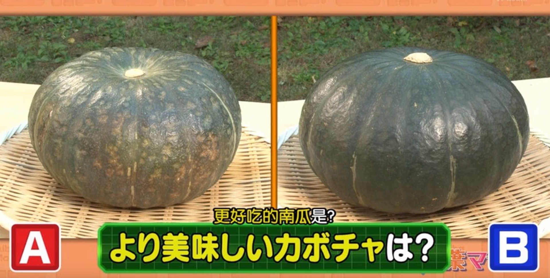 南瓜食譜大全 道主菜甜品湯食譜選購6貼士超甜鬆軟必有1特徵 南瓜食譜大全 道主菜甜品湯食譜選購6貼士超甜鬆軟必有1特徵