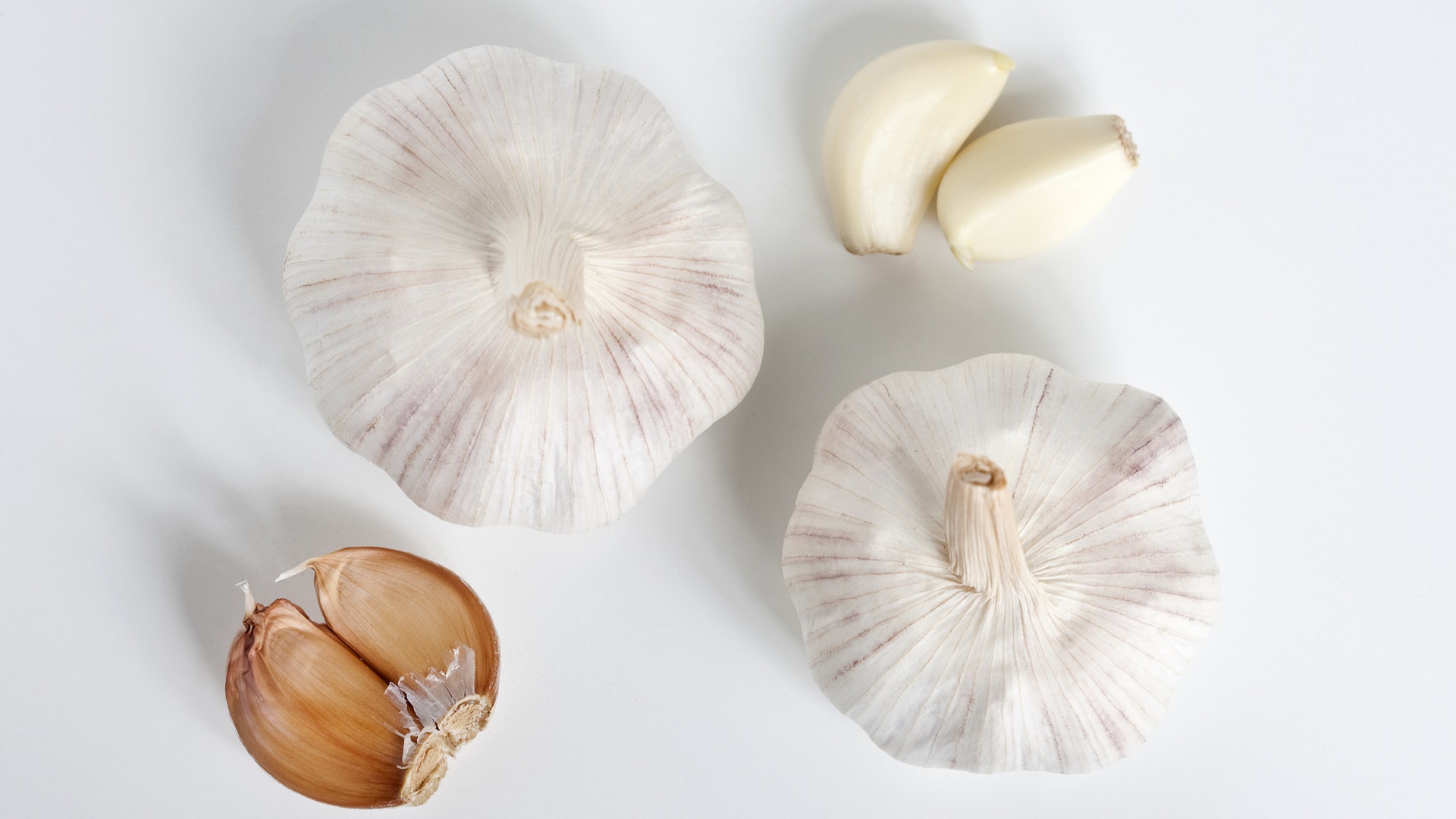 捉老鼠大賽 唔使用化學嘢嘅專家教你 重口味 驅蟲趕鼠大法 香港01 社區專題