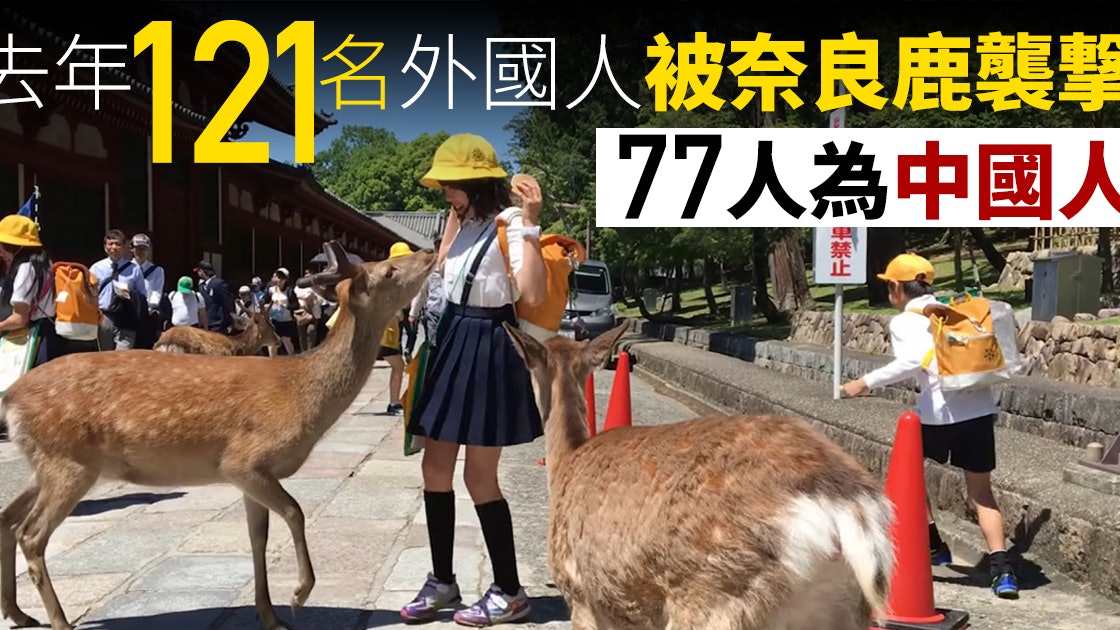 世界的な風景になったのね 奈良公園の鹿のお辞儀 日章アステック株式会社