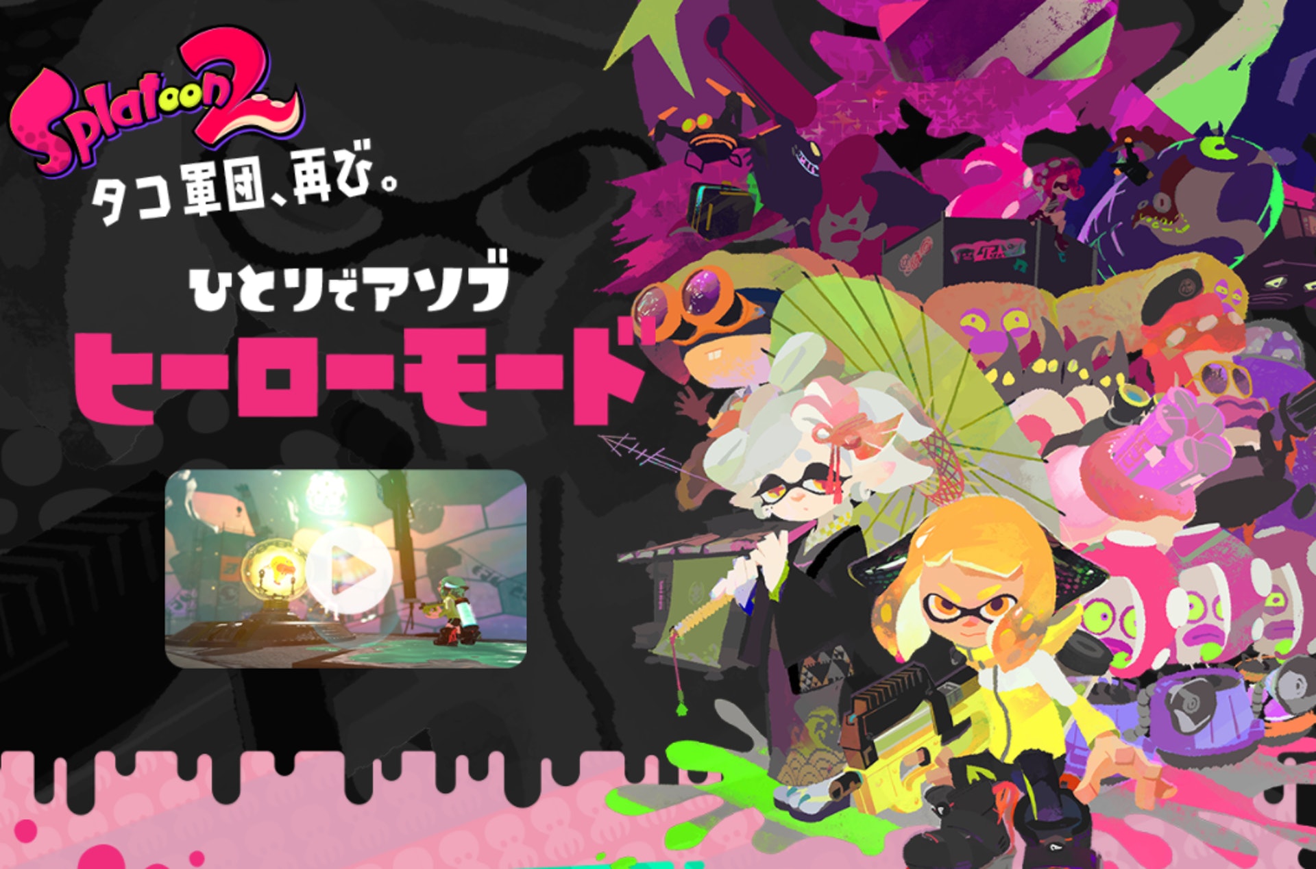 (nintendo) (nintendo)