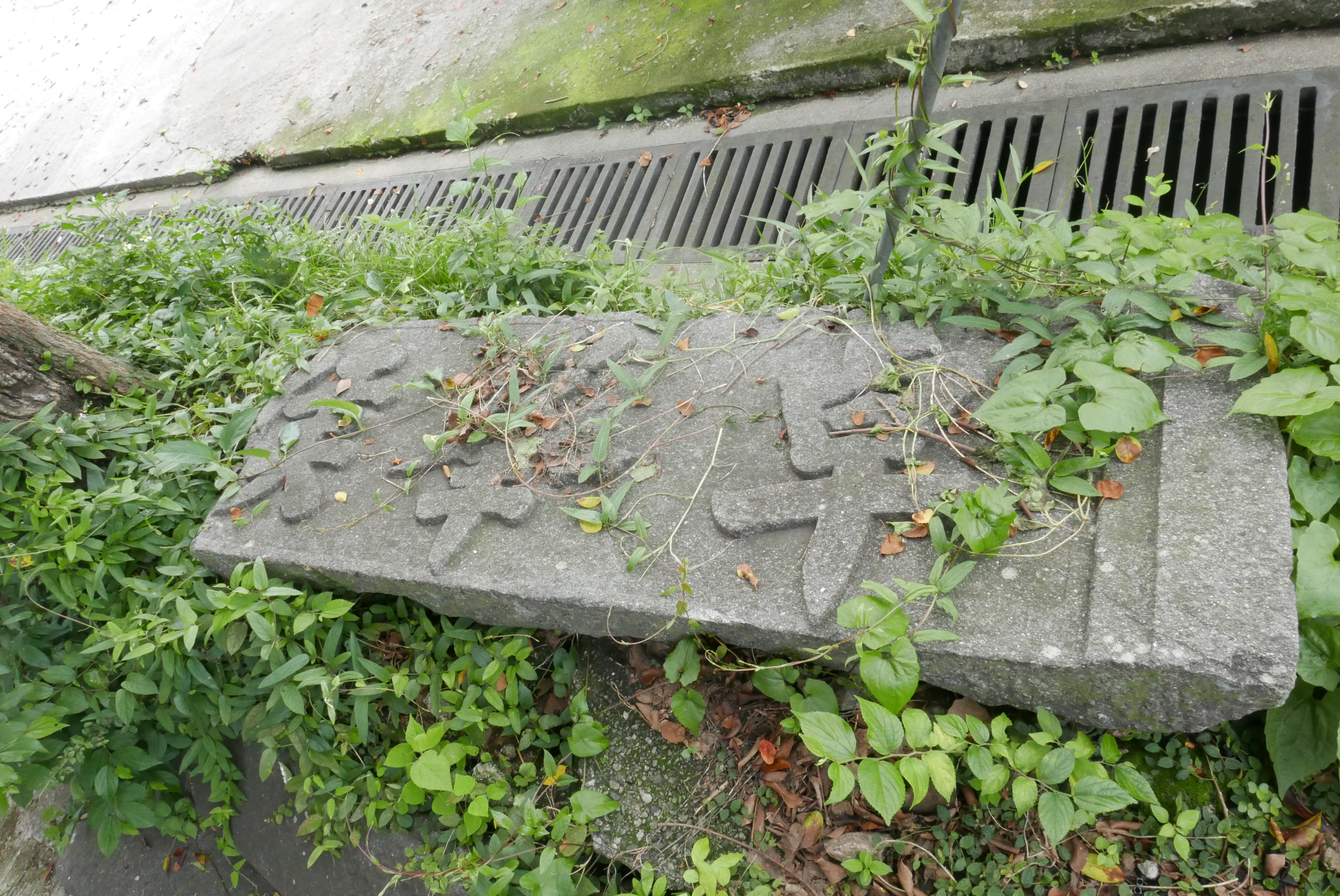 【社區異想】上水侯氏財雄勢大　點解俾人拆祠堂、變成修車廠？