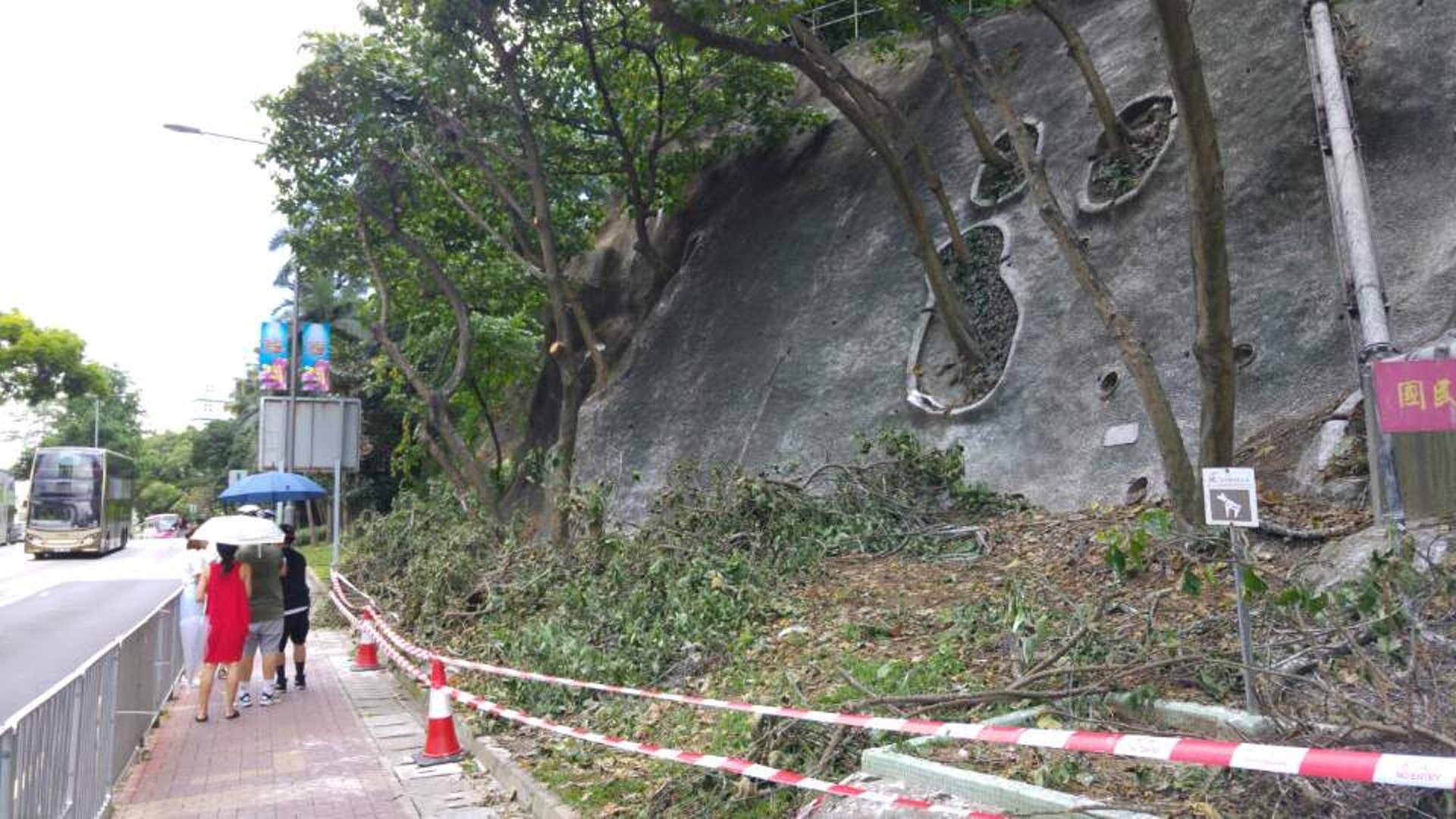 現場的被剪下的樹枝至今未被清理。(潘希橋攝) 現場的被剪下的樹枝至今未被清理。(潘希橋攝)