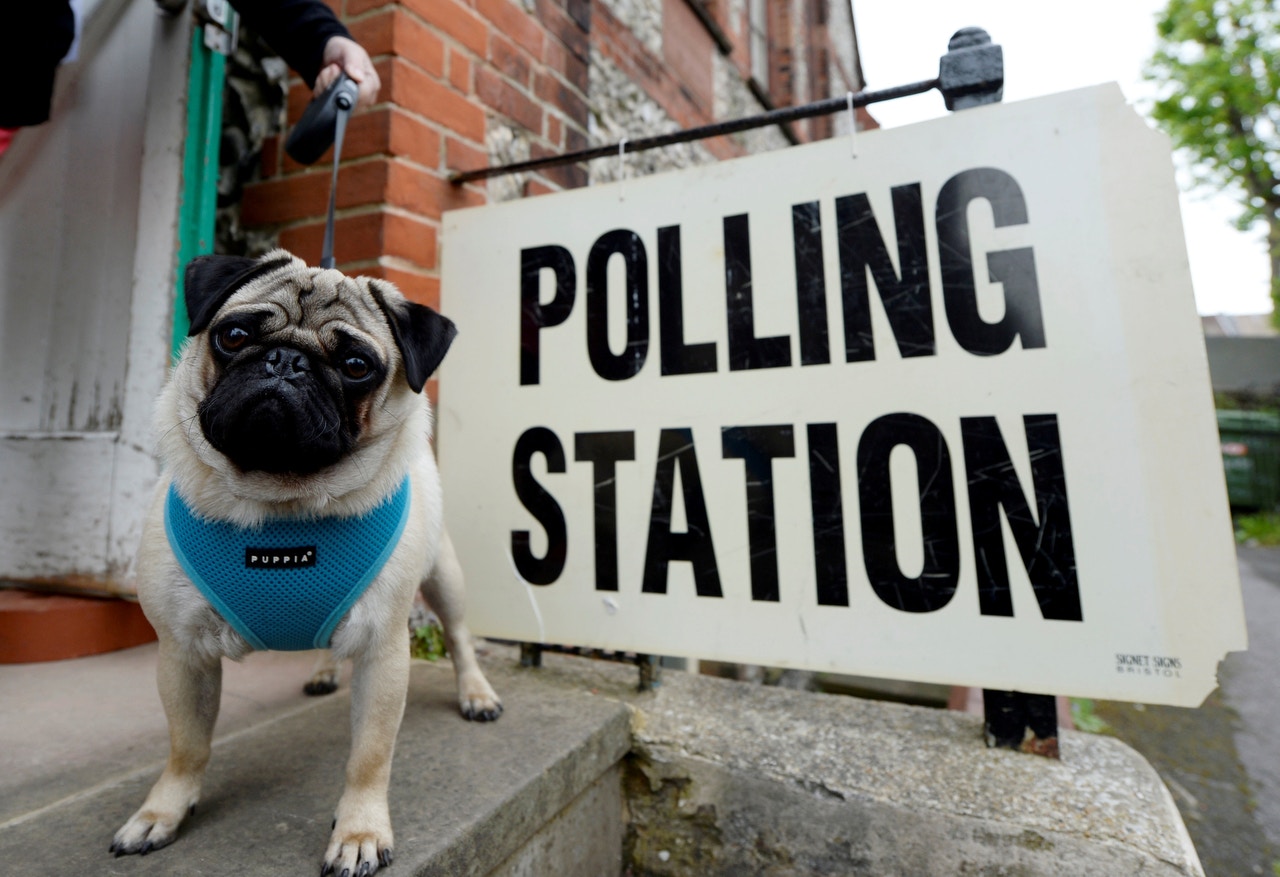 【英國大選．圖輯】選民帶同汪星人投票　狗狗成各地票站焦點