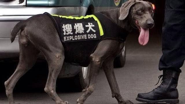 【翻譯災難】中國公布公共場所英譯標準 網民難捨「中式英語」 【翻譯災難】中國公布公共場所英譯標準 網民難捨「中式英語」